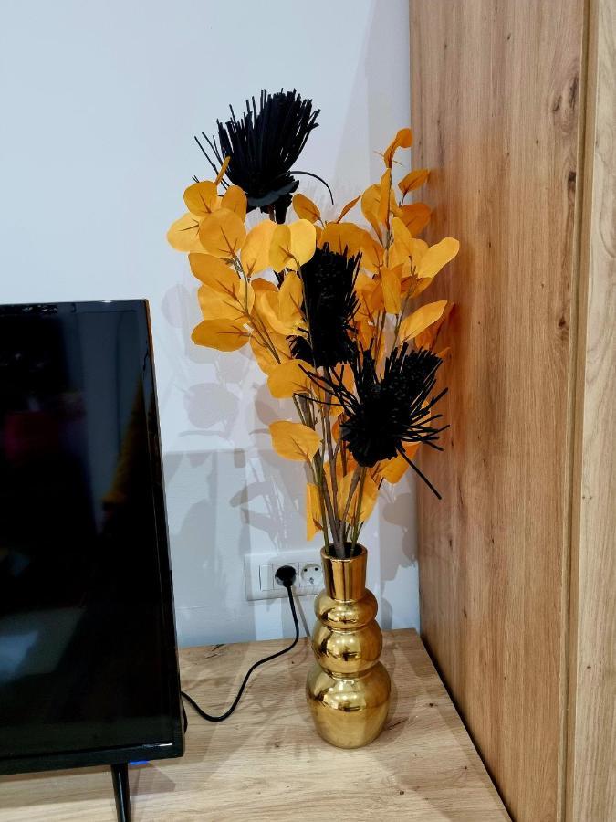 Retro Chic Studio بولا المظهر الخارجي الصورة